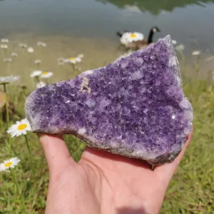 Amethyst Cluster (#9M)