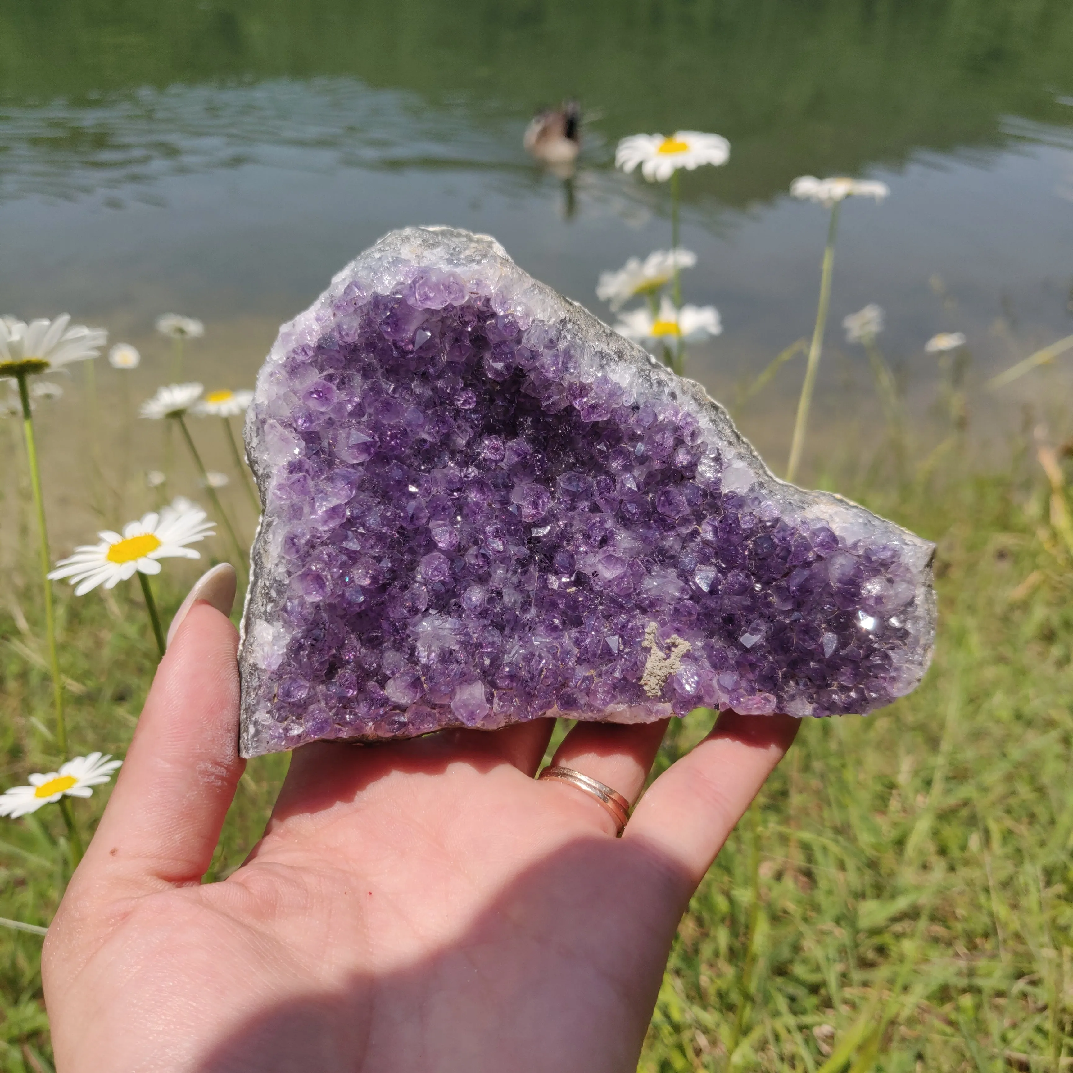 Amethyst Cluster (#9M)