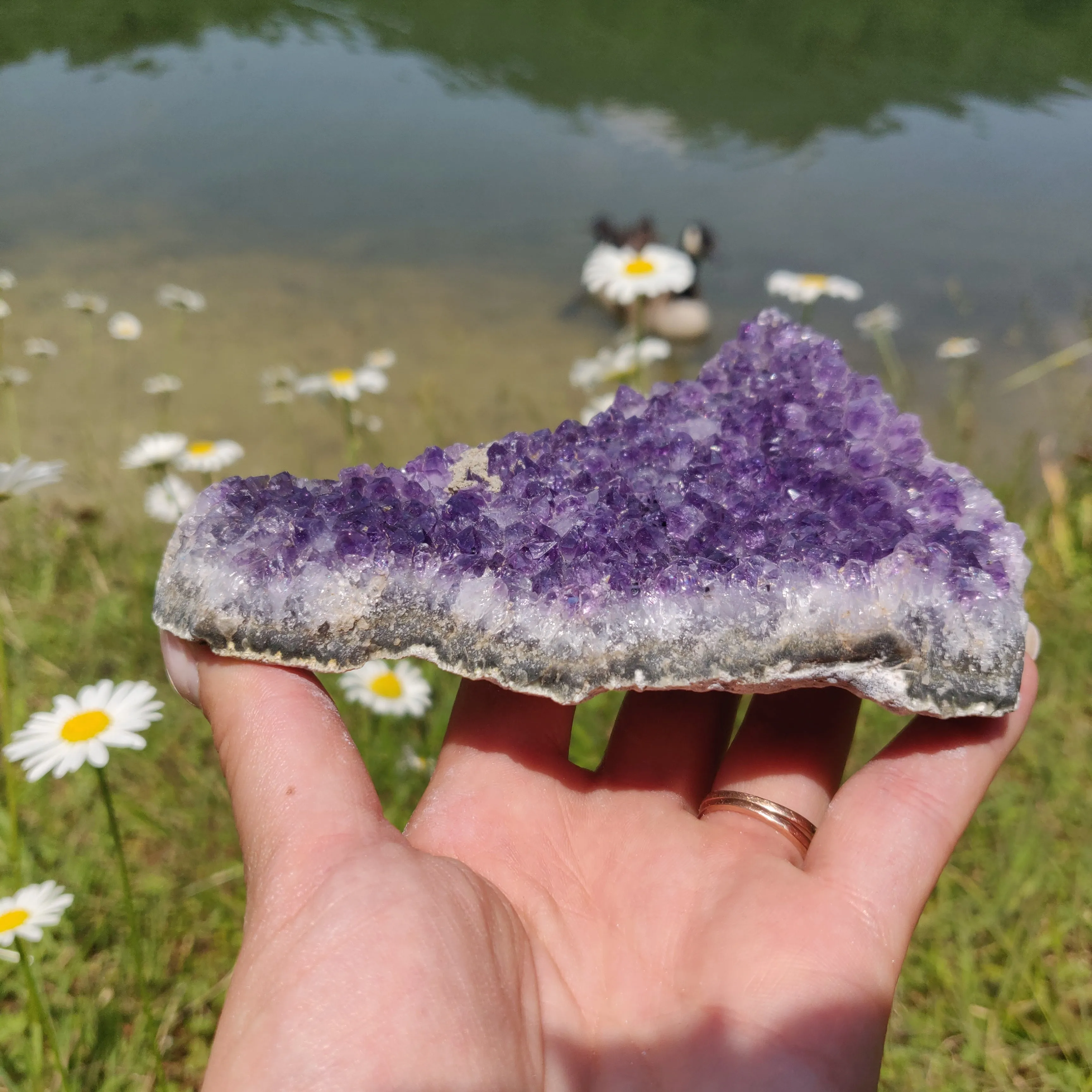 Amethyst Cluster (#9M)