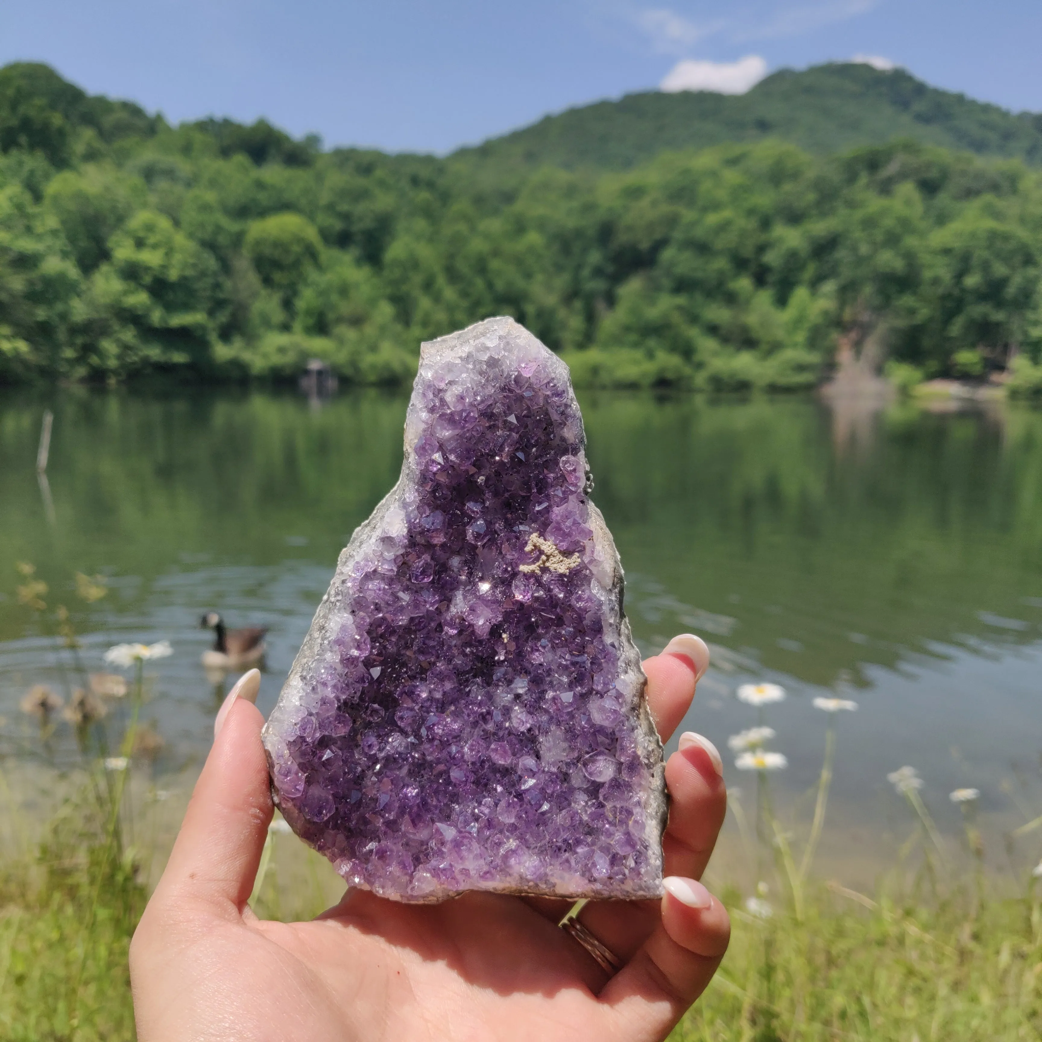 Amethyst Cluster (#9M)