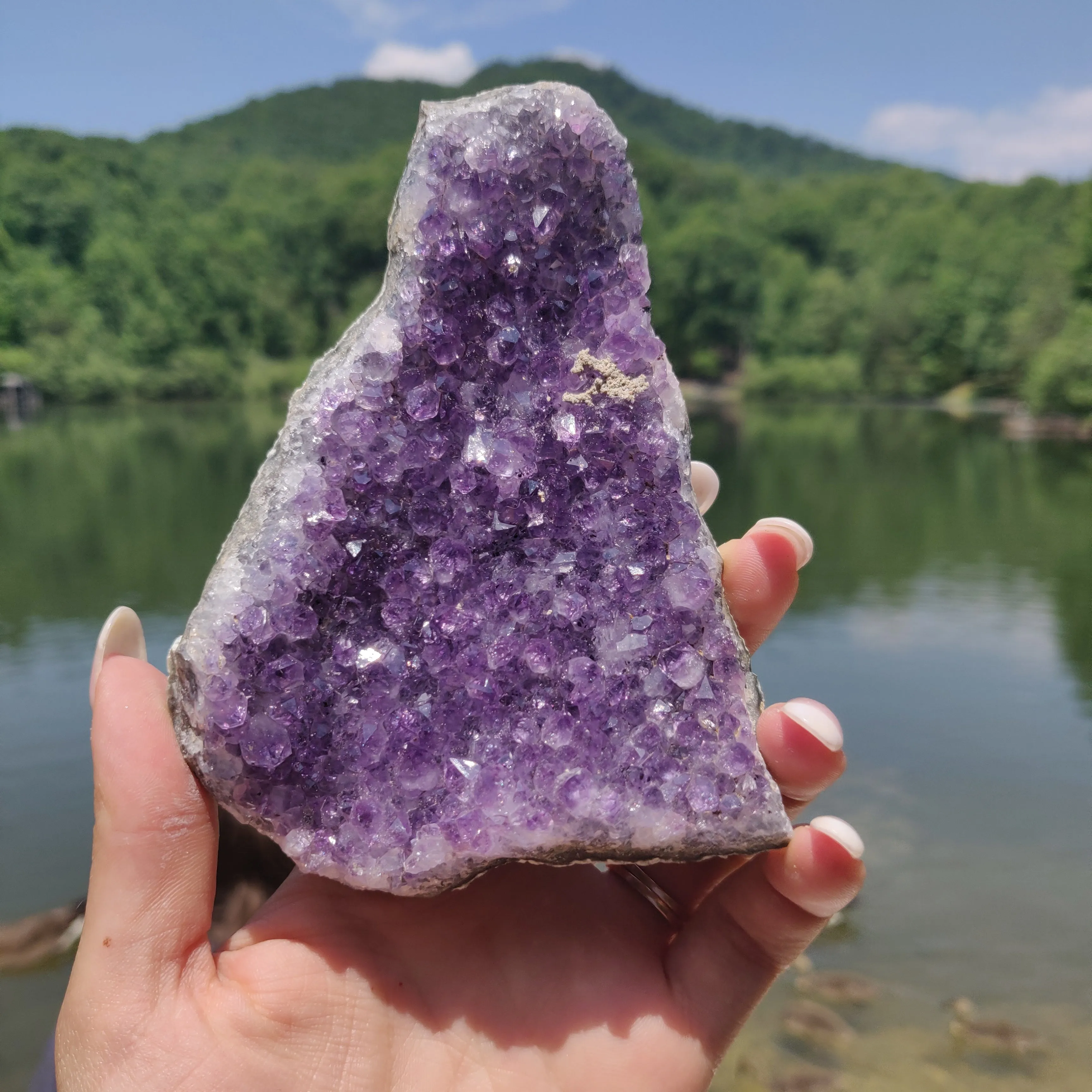 Amethyst Cluster (#9M)