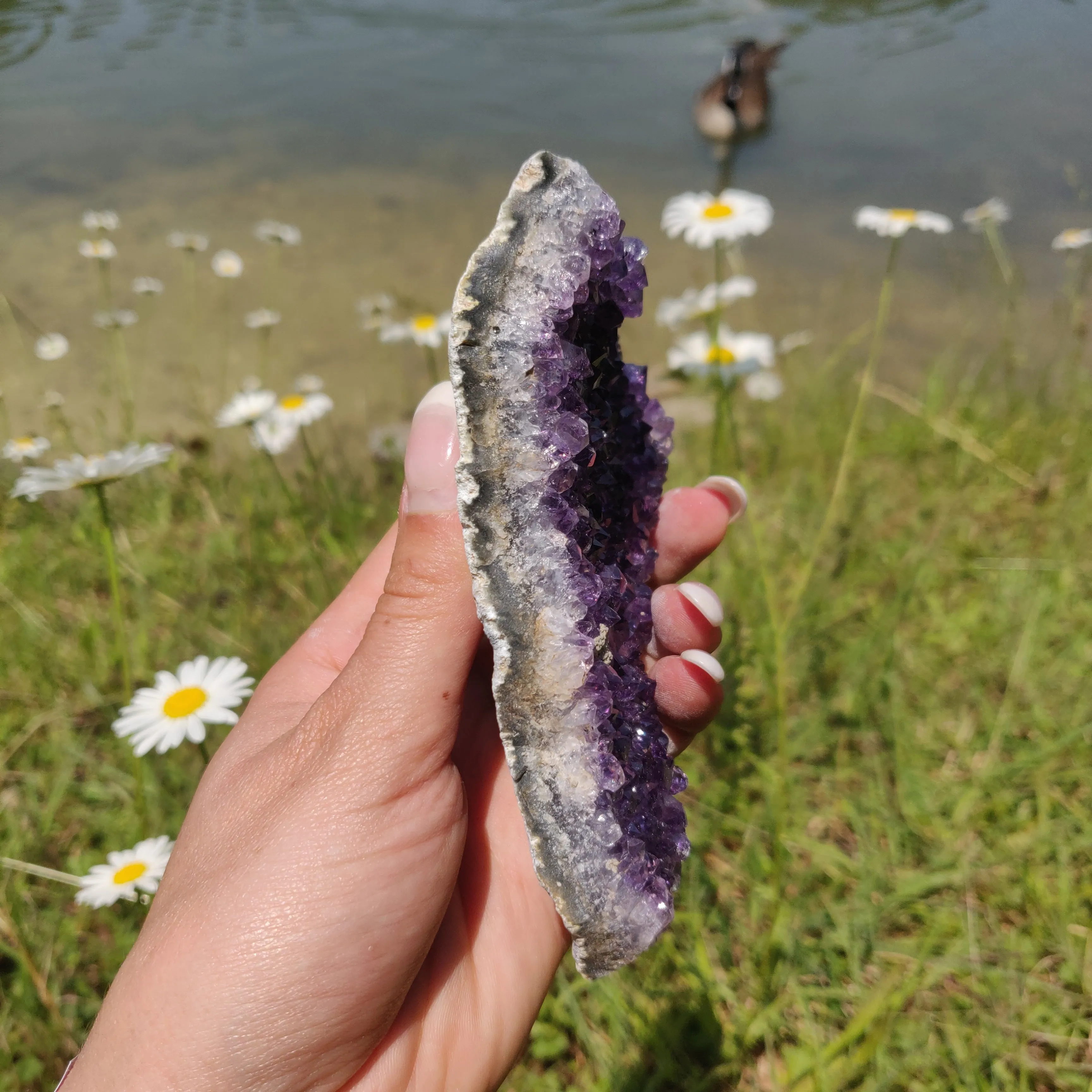 Amethyst Cluster (#9M)
