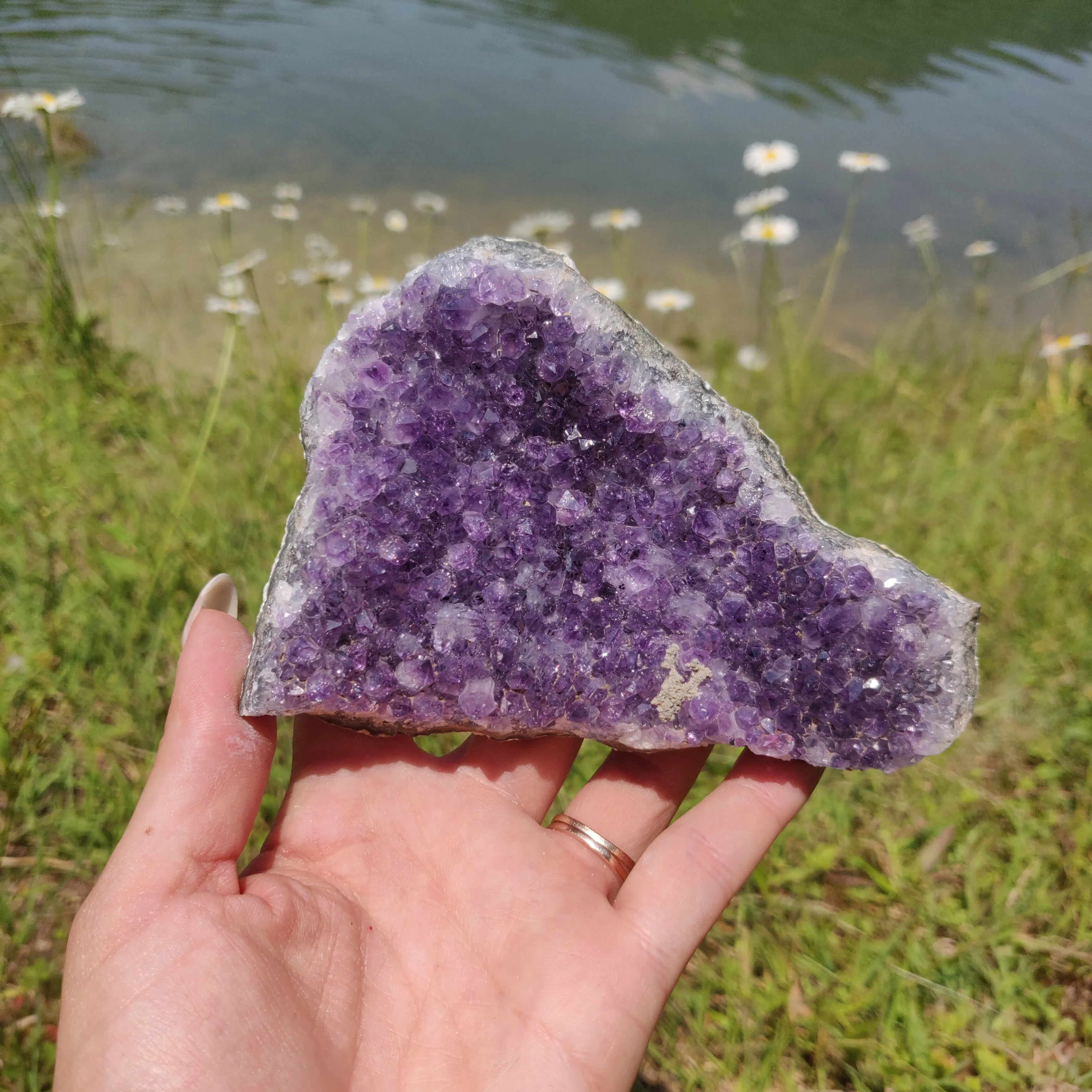 Amethyst Cluster (#9M)