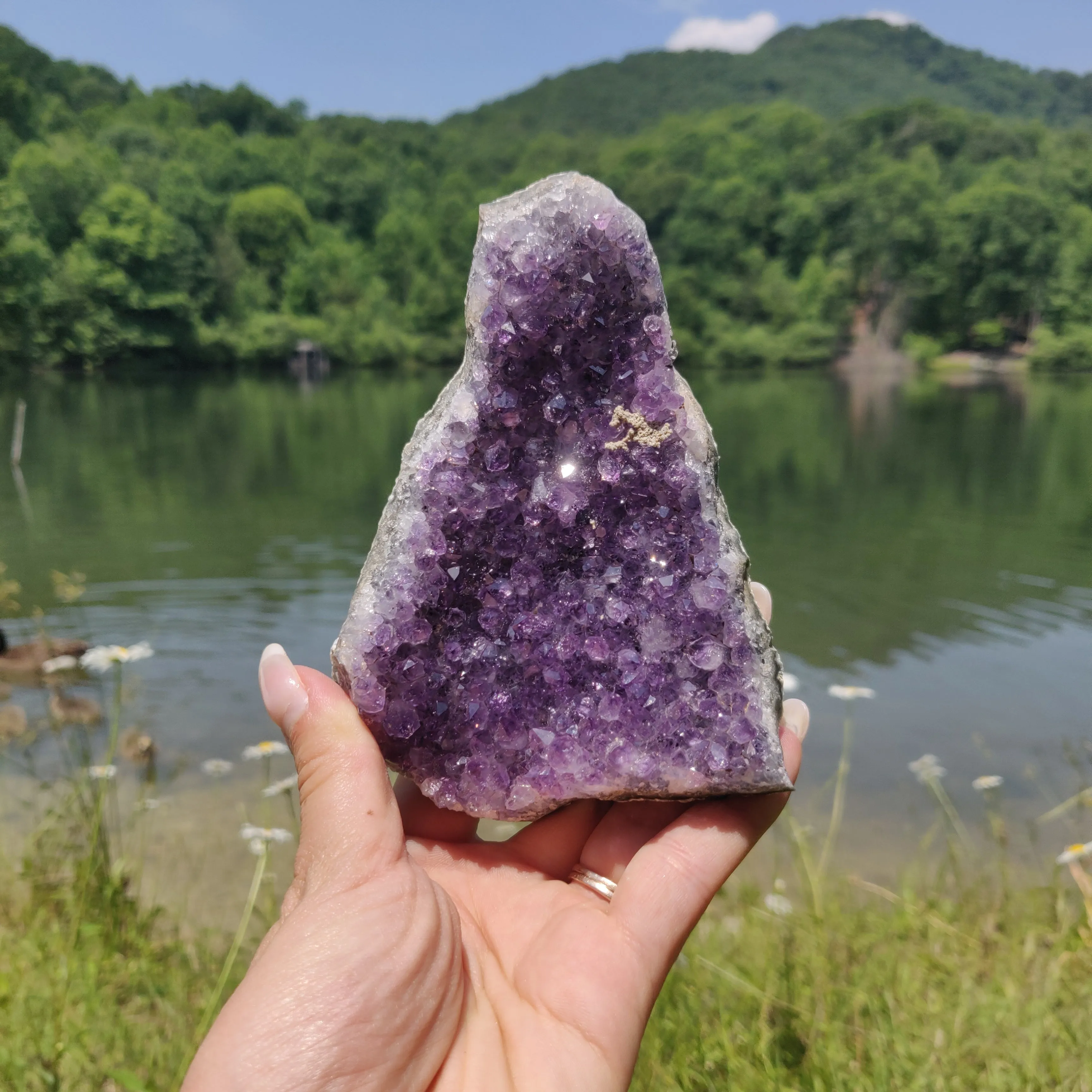 Amethyst Cluster (#9M)