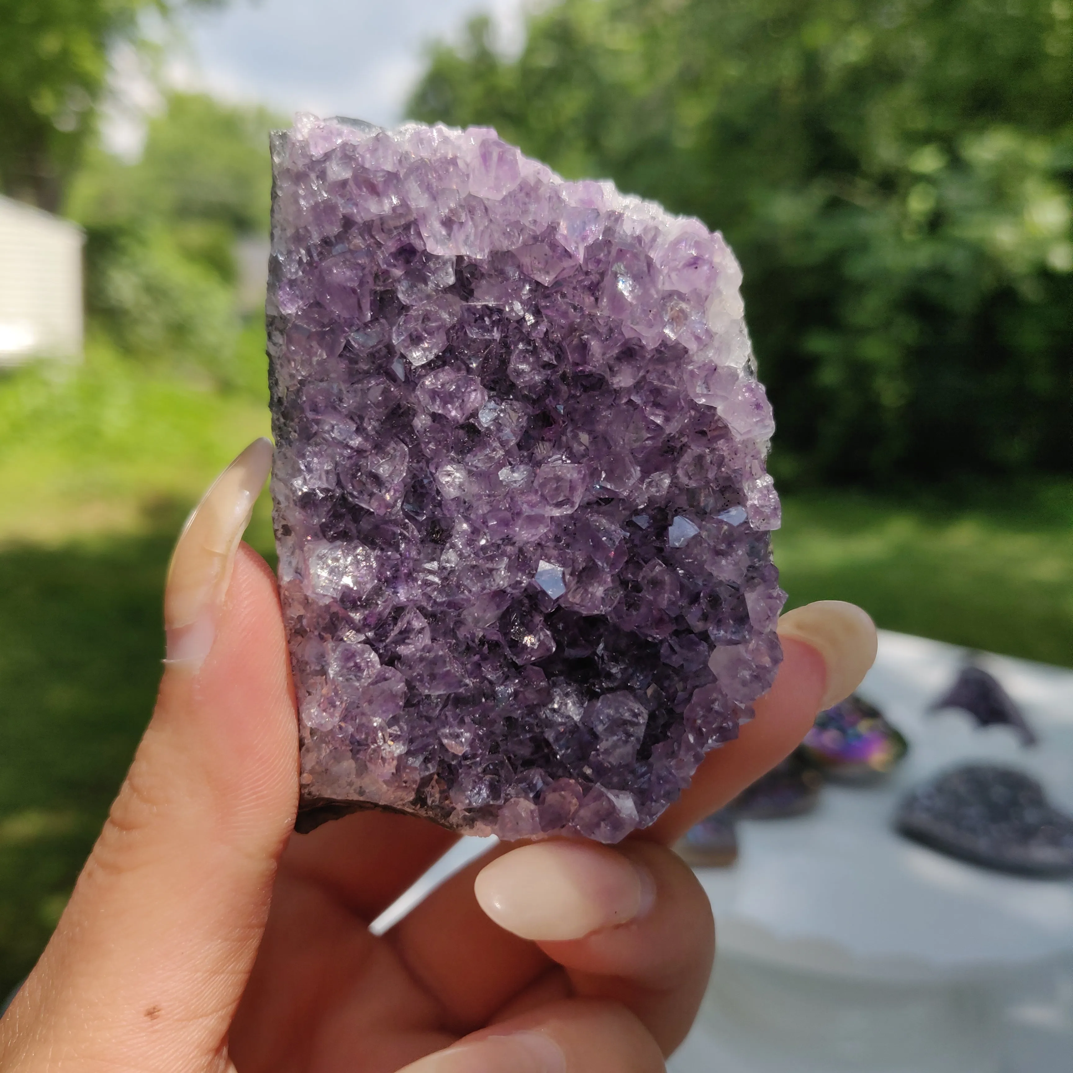 Amethyst Geode Free Form, Cut Base (#10)