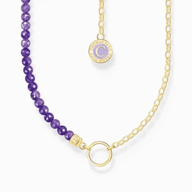 Charmista Member Violet Sterling Silver Gold Plated Enamel Charm Necklace KE2190-427-13