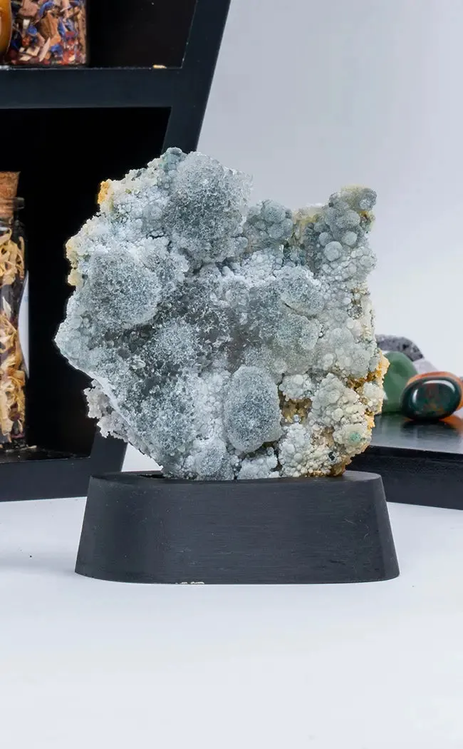 Galaxy Amethyst Flower Cluster Formations On Stands