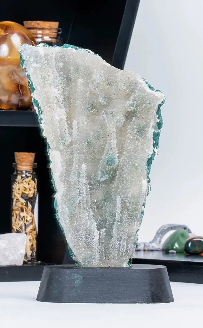 Galaxy Amethyst Flower Cluster Formations On Stands