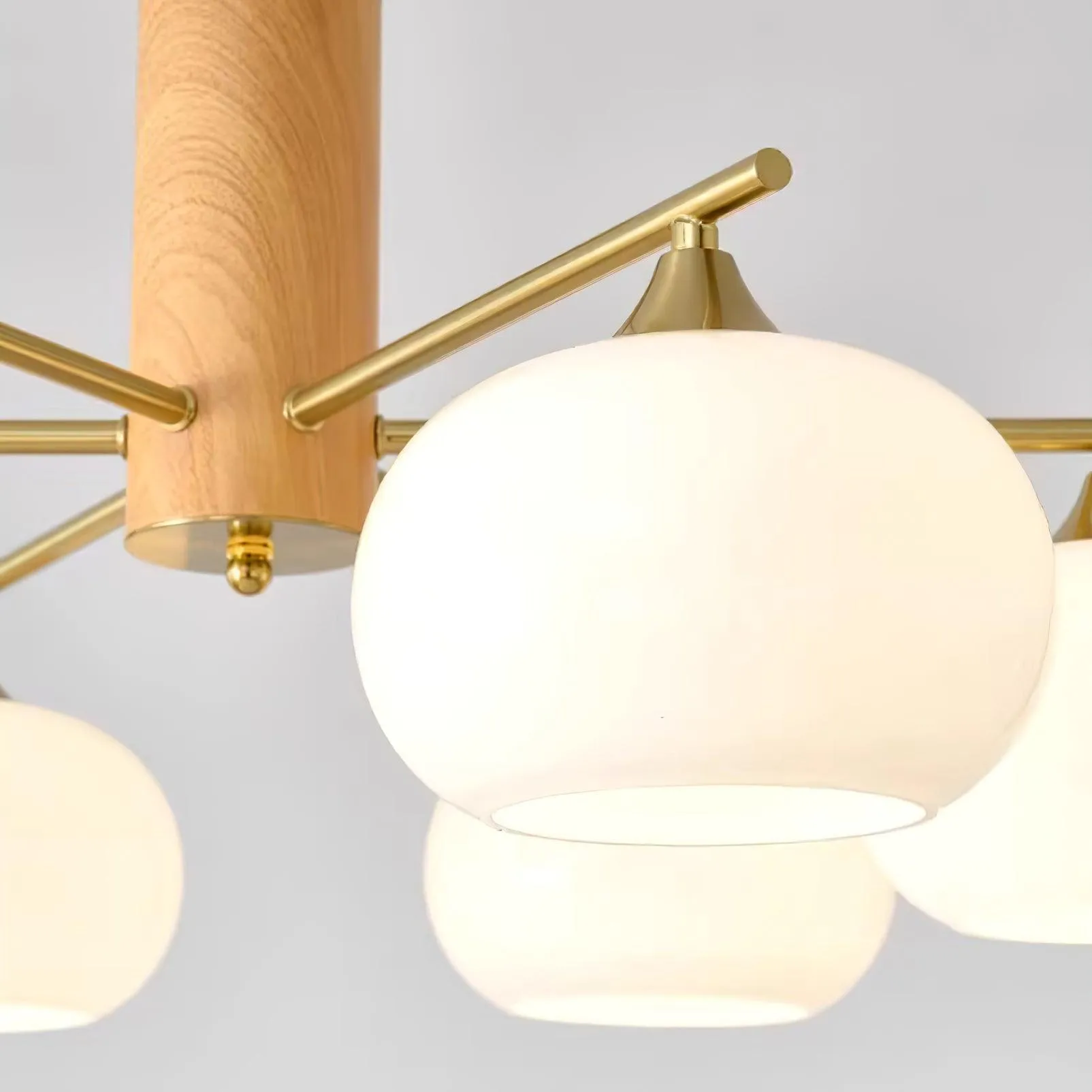 Gino Glass Chandeliers